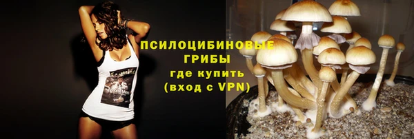 стаф Нефтекумск