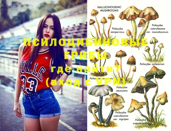 стаф Нефтекумск