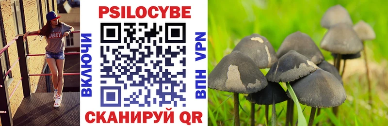 продажа наркотиков  Сысерть  Псилоцибиновые грибы мухоморы 