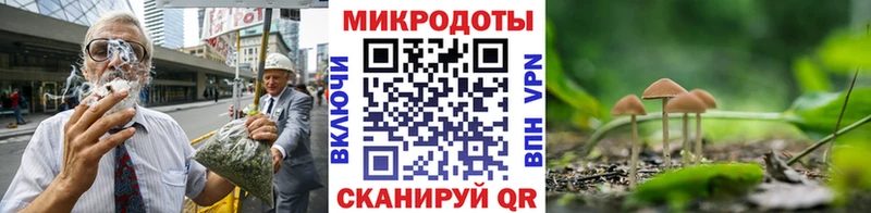Галлюциногенные грибы Psilocybine cubensis Сысерть