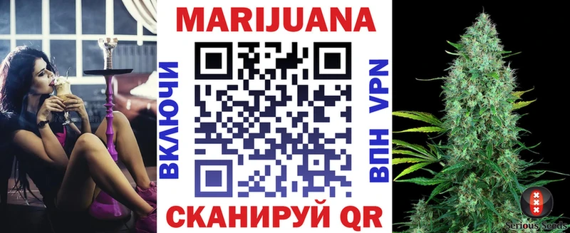 Конопля гибрид  Сысерть 
